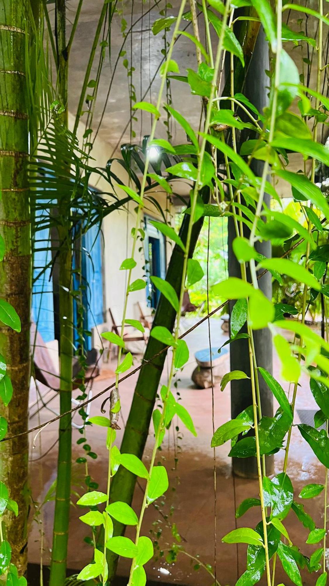 Kataragama Homestay Exterior foto