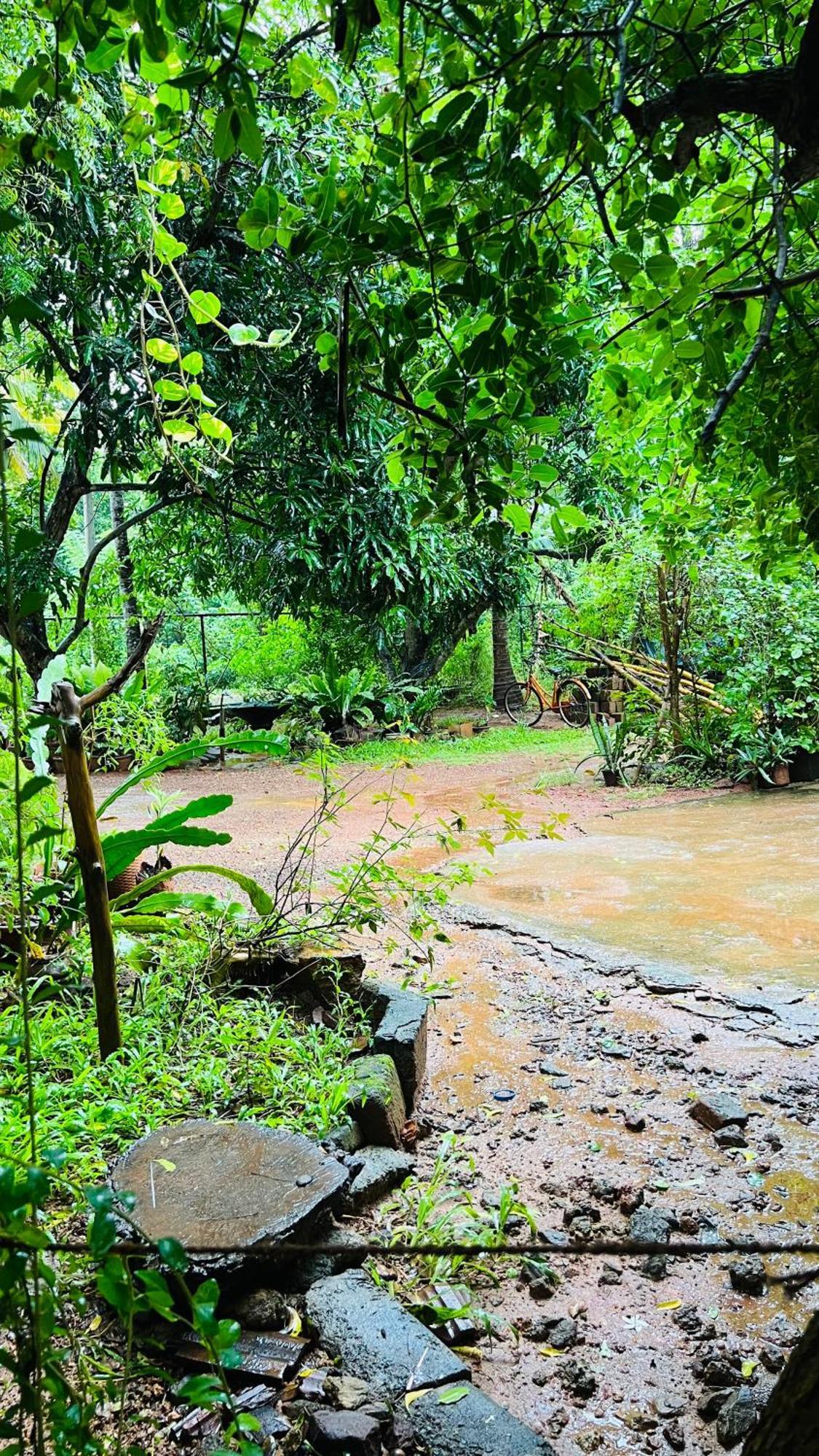 Kataragama Homestay Exterior foto