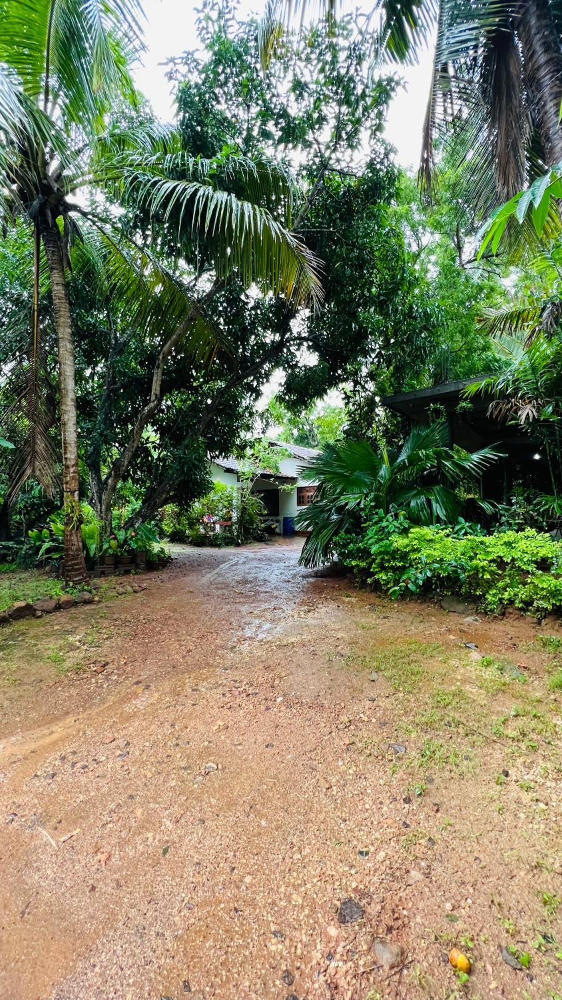 Kataragama Homestay Exterior foto